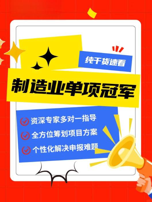 单项冠军申报辅导(单项冠军是什么意思)鄂州市