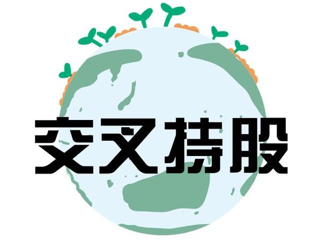交叉持股安排设计(交叉持股怎么计算持股比例)鄂州市